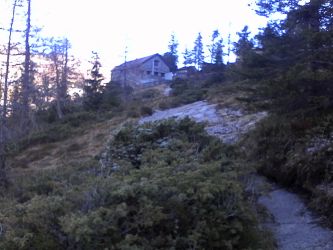 IMG_20201106_114635.jpg