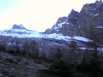 IMG_20201106_114742.jpg