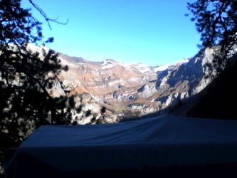 IMG_20201106_115027.jpg