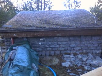 IMG_20201106_115052.jpg