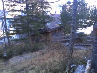 IMG_20201106_115101.jpg