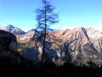 IMG_20201106_115407.jpg