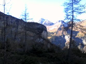 IMG_20201106_115426.jpg