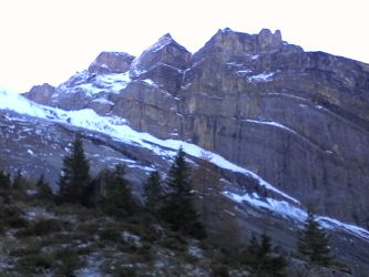IMG_20201106_115951.jpg