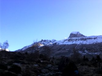 IMG_20201106_120006.jpg