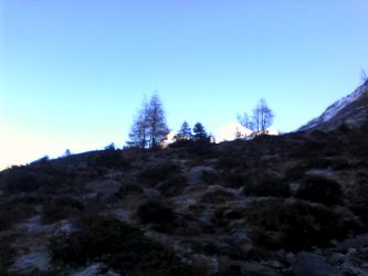 IMG_20201106_120014.jpg