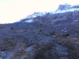 IMG_20201106_120916.jpg
