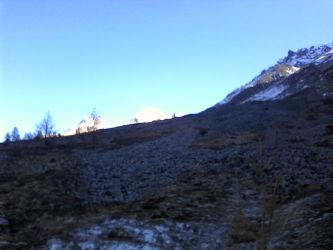 IMG_20201106_120934.jpg