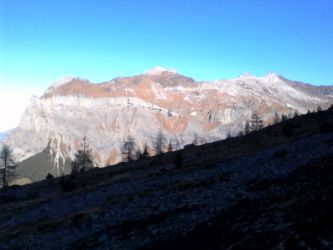 IMG_20201106_120950.jpg