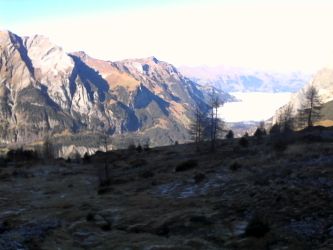 IMG_20201106_120958.jpg