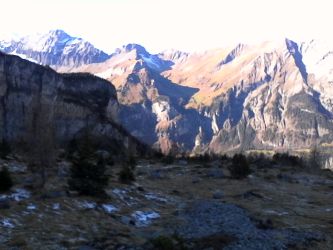 IMG_20201106_121006.jpg