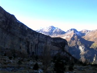 IMG_20201106_121026.jpg