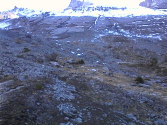 IMG_20201106_121048.jpg