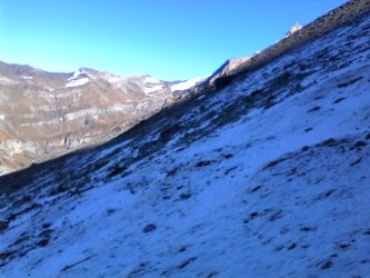 IMG_20201106_123311.jpg