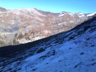 IMG_20201106_123320.jpg