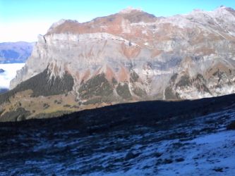 IMG_20201106_123325.jpg