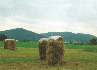 Kyčera, Čupel, Prašivá z Polenin ... Horní Tošanovice, Mgr. Irena Cichá