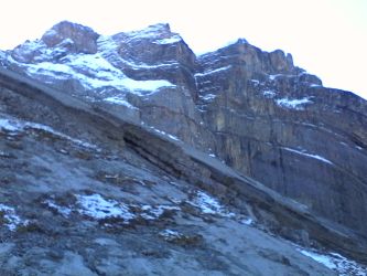 IMG_20201106_123351.jpg