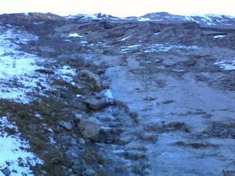 IMG_20201106_123359.jpg