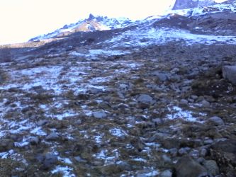 IMG_20201106_124029.jpg