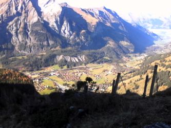 IMG_20201106_131209.jpg