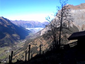 IMG_20201106_131217.jpg