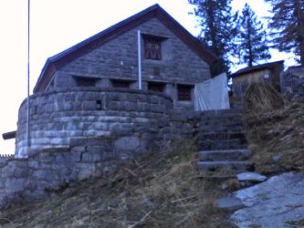 IMG_20201106_131245.jpg
