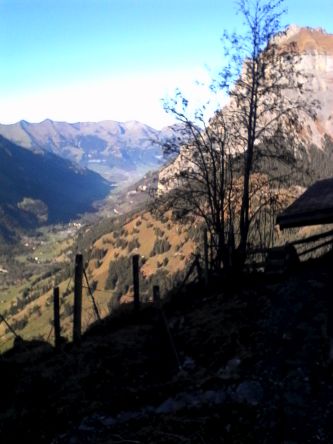 IMG_20201106_133552.jpg