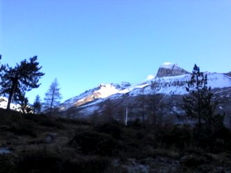 IMG_20201106_134101.jpg