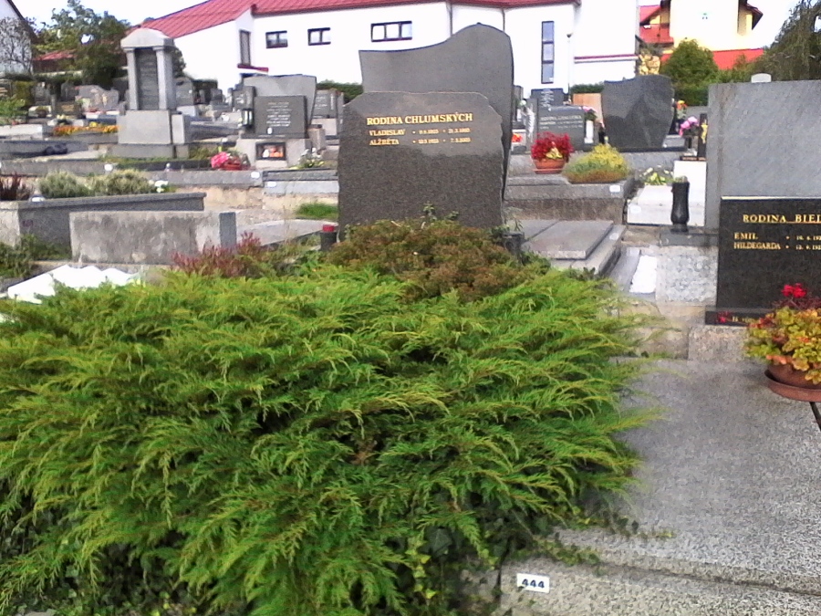 Vladislav a Alžběta Chlumští