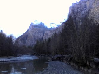 IMG_20201109_123031.jpg