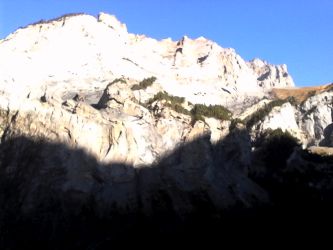 IMG_20201109_123044.jpg