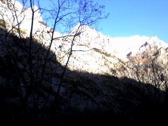 IMG_20201109_125904.jpg