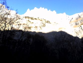 IMG_20201109_130750.jpg