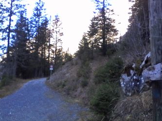 IMG_20201109_132717.jpg