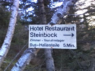 IMG_20201109_134255.jpg