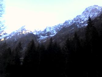 IMG_20201109_134312.jpg