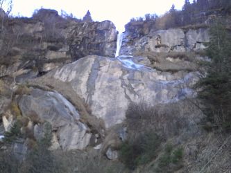 IMG_20201109_135056.jpg