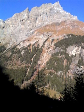 IMG_20201109_135113.jpg