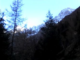 IMG_20201109_135129.jpg