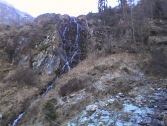 IMG_20201109_140203.jpg