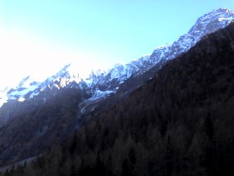 IMG_20201109_140227.jpg