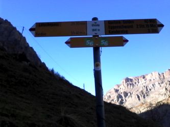 IMG_20201109_141109.jpg