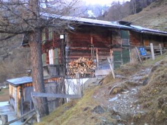 IMG_20201109_141125.jpg