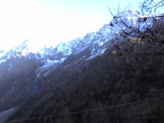 IMG_20201109_141144.jpg