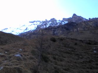 IMG_20201109_141912_1CS.jpg