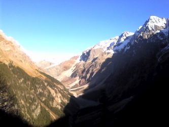 IMG_20201109_142026.jpg