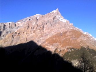 IMG_20201109_142036.jpg