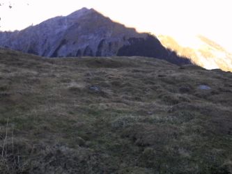 IMG_20201109_144130.jpg