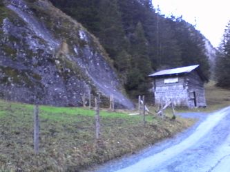 IMG_20201109_164631.jpg
